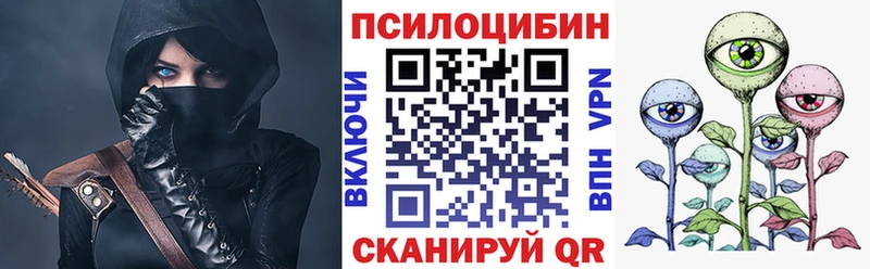 Купить закладки  Северо-Курильск  Галлюциногенные грибы Cubensis 