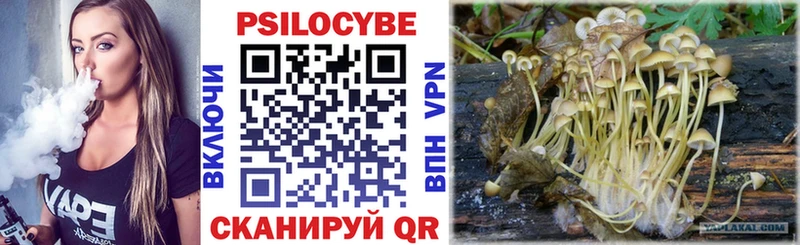 Галлюциногенные грибы Cubensis Северо-Курильск